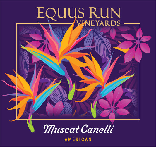 Muscat Canelli